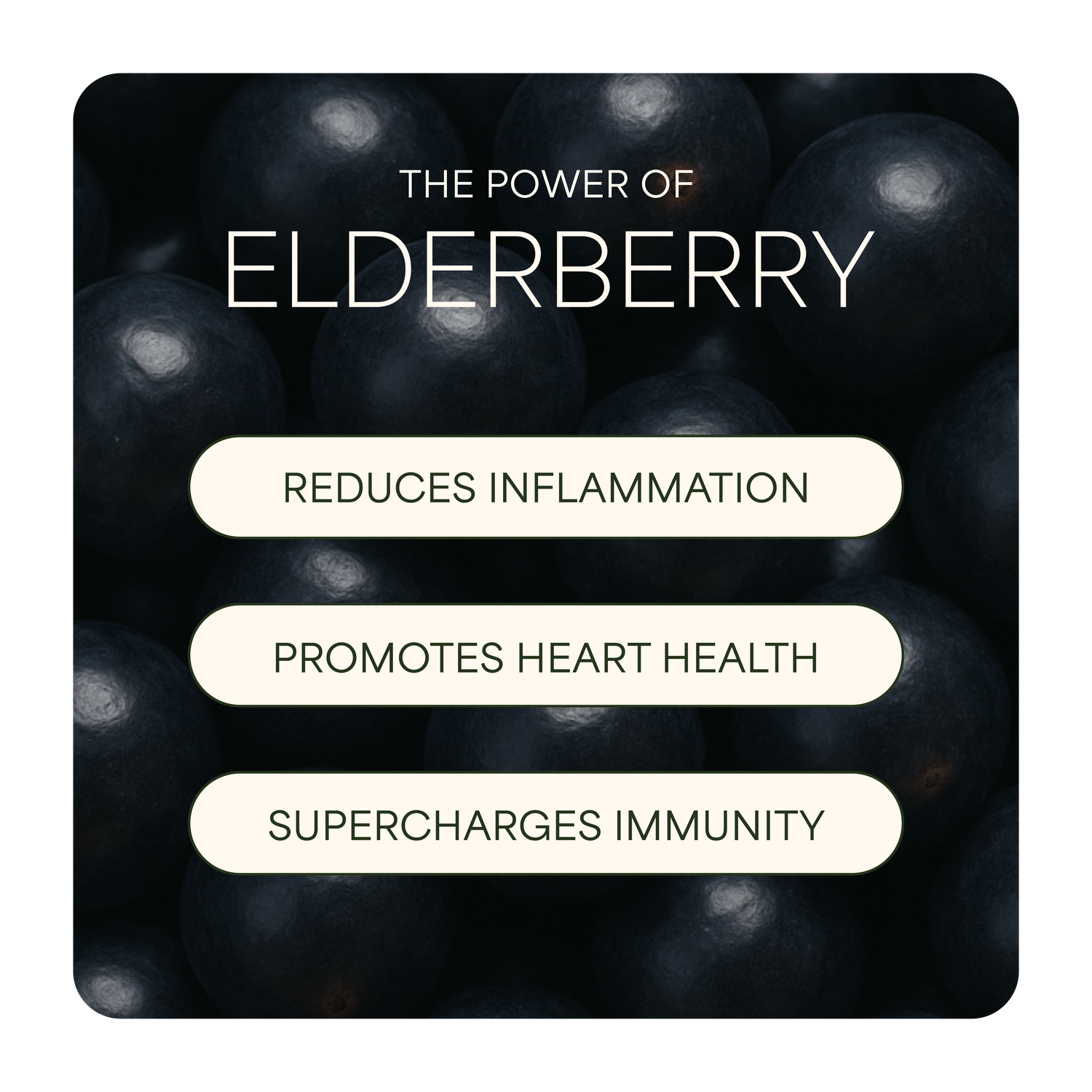 Liquid Vitamin C + Elderberry