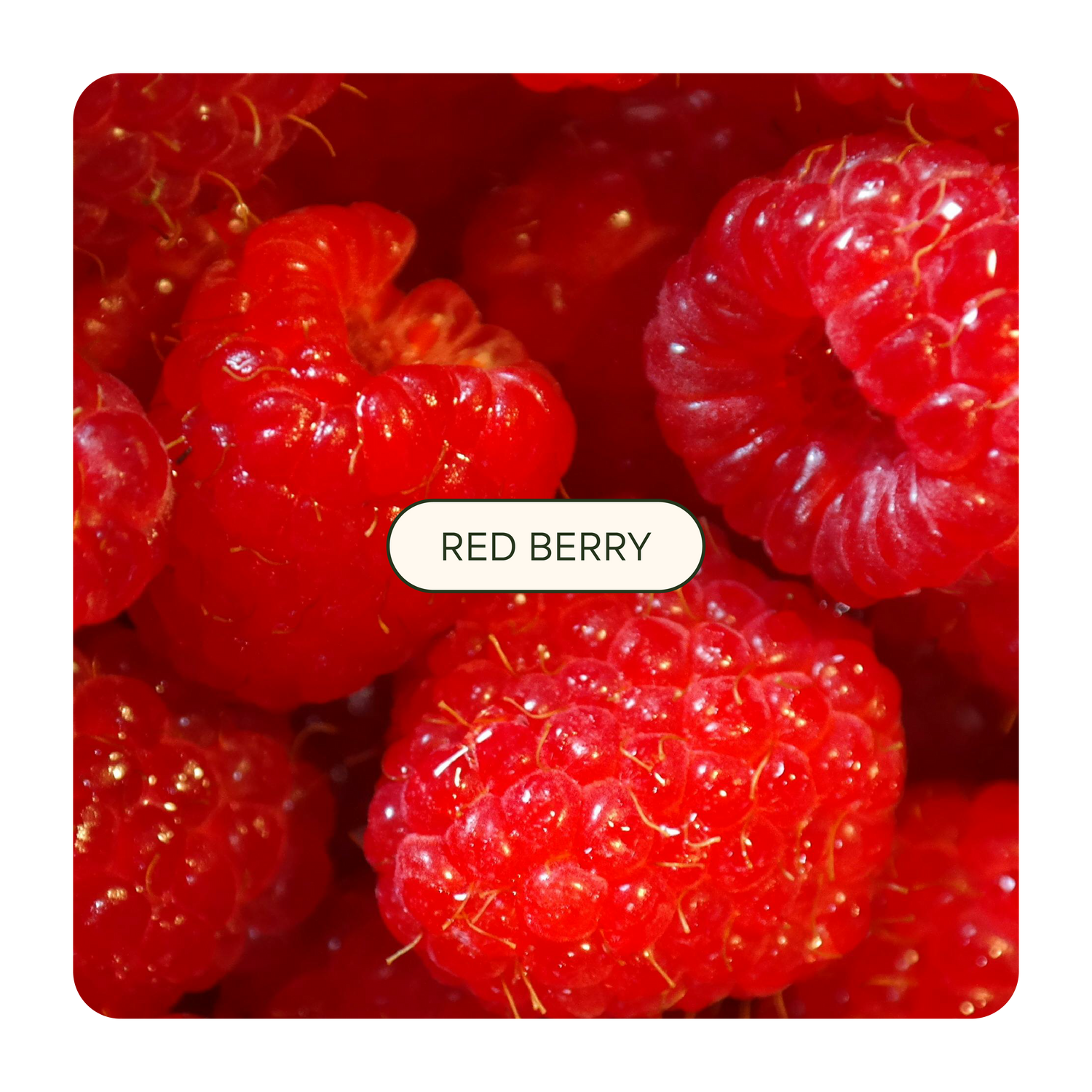 Liquid Vitamin-C Packs